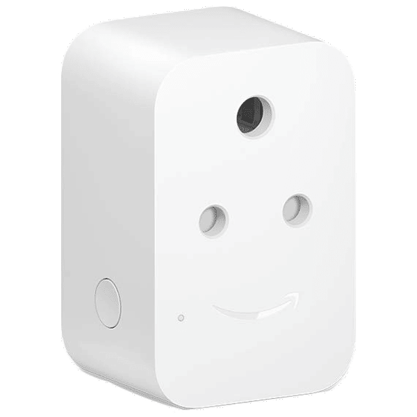 Plug that works with alexa store